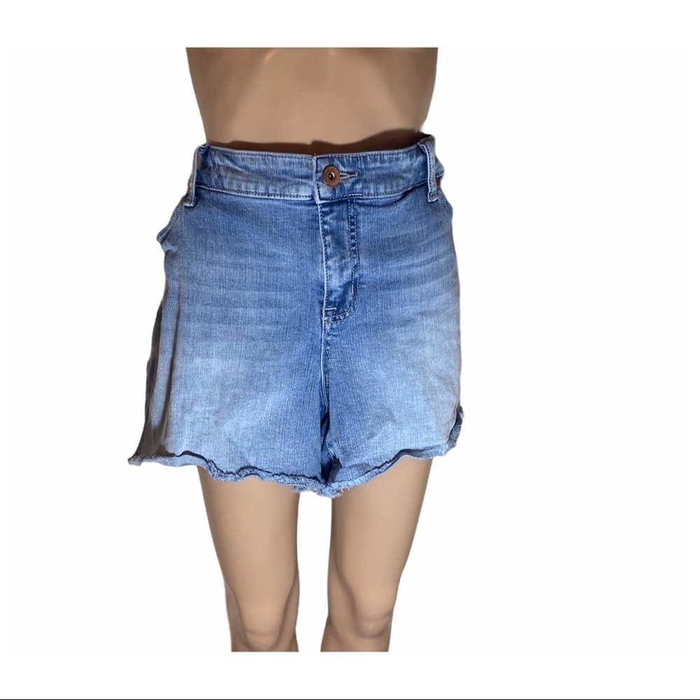 Torrid Plus Size Denim Shorts Size 24 High Rise Frayed Hem Casual Summer - Picture 1 of 7